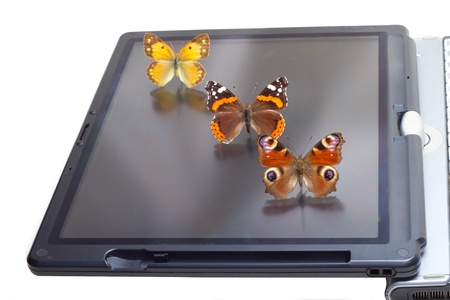 Laptopの写真素材