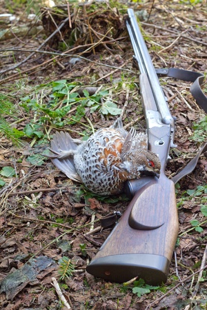 Successful days on hunting の写真素材