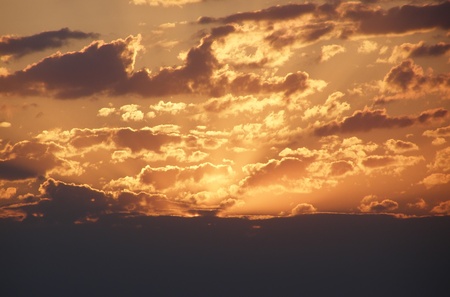 asleep summer nature 2の写真素材