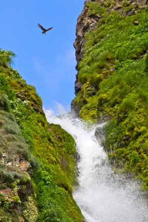 Water falls in waterfall, beauty in nature.の写真素材