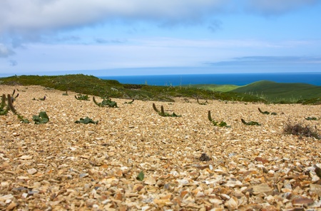 Golets. View from mountains to Bering sea. Golets and tundra vegetetion