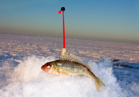 Winter fishing: closeup of ice hole, fishing rod and ruffの写真素材