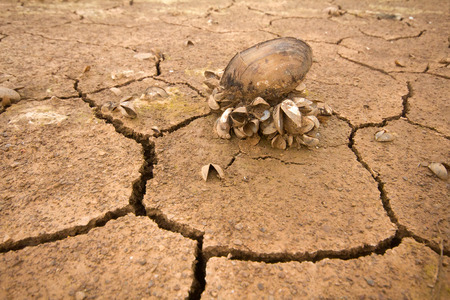sea dried up and everything receded diedの写真素材