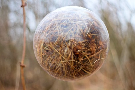concept of weather coming of spring season