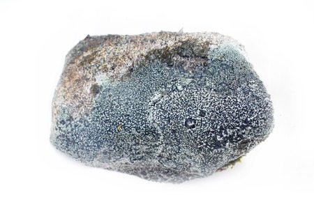 natural stones from high  mountain tundra isolated