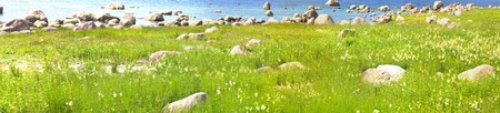 Sea shore with huge erratic boulders and lush green meadowの写真素材