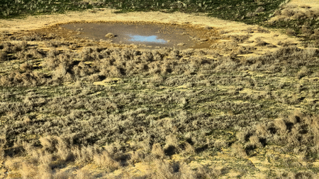 Drought. Slowly drying pond in desert, where there was watering place of wild mammals and birds....