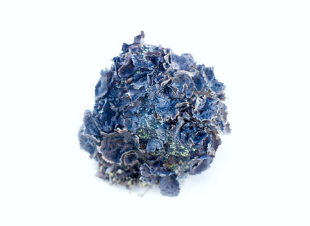 Element floral compositions - mosses and lichens fanciful form