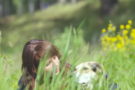 girl dressiruem dog outdoor. hound in grass fields with hostessの写真素材
