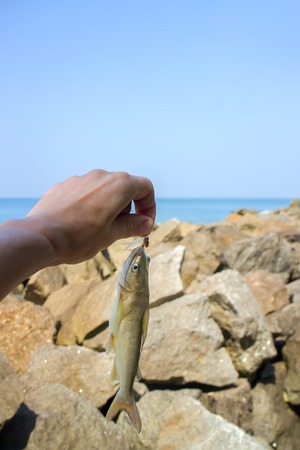 Fishing in India 2. Parvati fish caught in surf among the rocks. Kerala and Goa.の写真素材