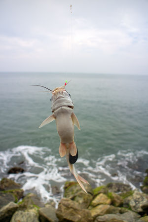 Fishing in India 2. Parvati fish caught in surf among the rocks. Kerala and Goa.の写真素材