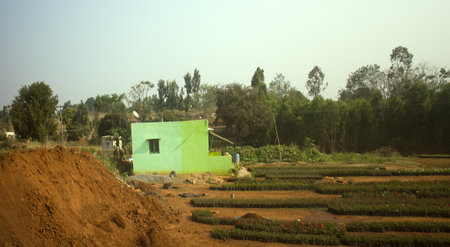 house of poor Indian and vegetable garden in early spring. In foreground - pile of dirt for raised beds. India, Tamil Naduのeditorial素材
