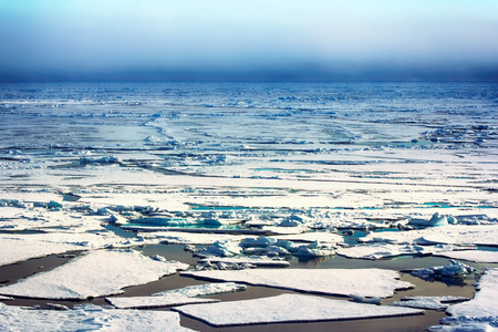 ice at North pole and near (from 84 to 90 degrees) in 2016. Rare now perennial ice broken by nuclear...