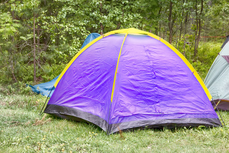 camping outdoor with tent in woods in summerの写真素材