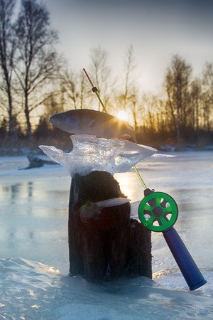active rest fishing for perch in winter from ice. Composition of catch on frozen water backgroundの写真素材