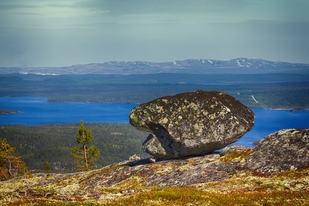 Light-coniferous taiga (predominance of Lapland pine, Pinus friesiana), boreal forest in Scandinavia. Misty spring morning in may, forest-lake landscapeの写真素材