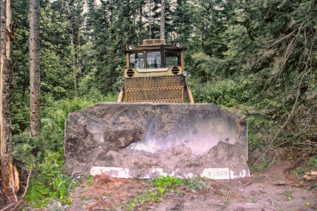 Destruction of forests for construction. Bulldozer clears site for construction of many kilometers pipeline in Northern coniferous forests. Visible forest and huge messy blade of powerful machinesの写真素材