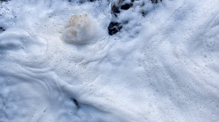 Soft foam on spring Creek - water pollutionの写真素材