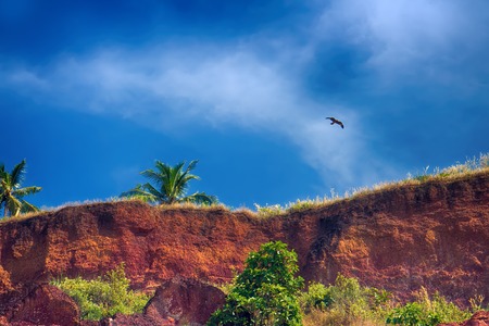 Cliff coast to sea. An example of intensely blue sky above clay cliff (phenomenon of simultaneous...