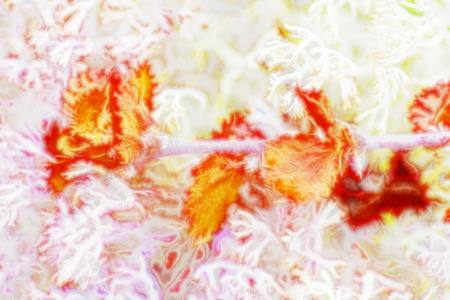 Abstract background computer generated. Frozen young tree branchの写真素材