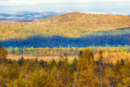 Mellow autumn. Midst of autumn in Boreal coniferous forests (taiga) with admixture of birch and aspen. Scandinavia, Laplandの写真素材