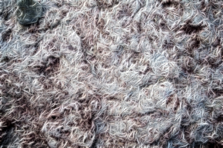 abstract background computer generated. sharp sprouts web terrible space surfaceの写真素材