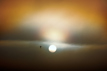 The setting sun in the misty hazeの写真素材