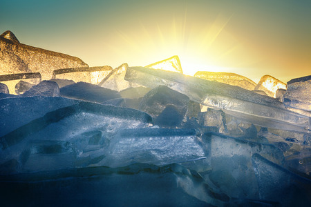 Young Toros. Ice Shine in the sun like jewels. Shooting in backlit conditionsの写真素材