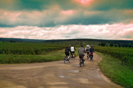 Dijon, France - September 17, 2017: Cycling tour through fields and vineyards at countryside of respectable cyclists - t? bike all ages yield surrenderのeditorial素材