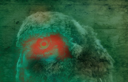 Fantastic owl on background tile marble texture, old paperの写真素材