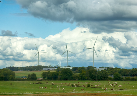 nice summer rural day. animal husbandry and clean energy sources. wind turbines in the field on a Sunny day in Europeの写真素材