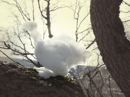 Figures are made of snow glued to any surface, such as tree or fence, zoological garden - chicken or turkey. New interesting Christmas winter fun for girls, children and youth, make snowの写真素材