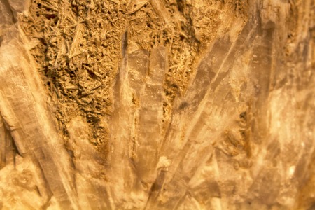 Natrolite is a mineral skeleton silicate from the group of zeolites.の写真素材