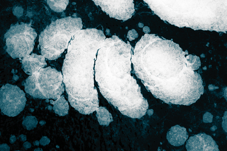 structure, pattern and crystals of newly formed ice called the nylas (black ice, skin)