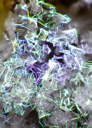 Hoarfrost on the branches. Ice crystals are gorgeous like faceted diamonds, like solitaireの写真素材