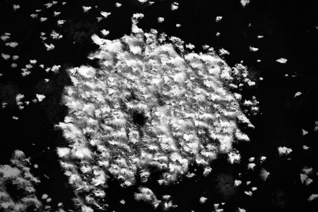 The macro structure, pattern and crystals of newly formed ice called the nylas (black ice, skin)