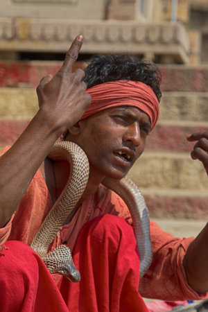 India, Varanasi - March 20, 2018: Snake Charmer (bede, geek) from Benares with Hamandryad (Naja...