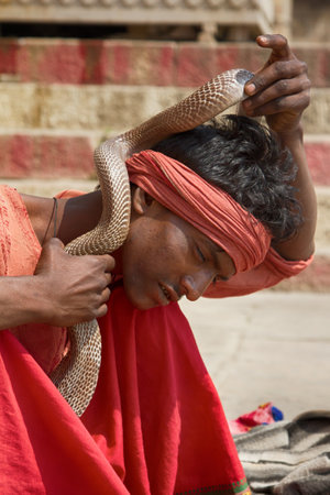 India, Varanasi - March 20, 2018: Snake Charmer (bede, geek) from Benares with Hamandryad (Naja naja). Profession is rare because of state ban. Snake's reaction to lens, cork-tumbler special potのeditorial素材