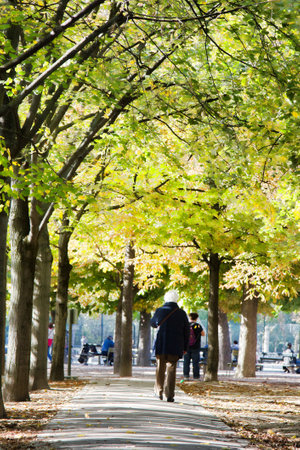 Paris, France - September 23, 2017: Autumn in the Luxembourg garden. An elderly man on a walk along the alley of the Parkのeditorial素材