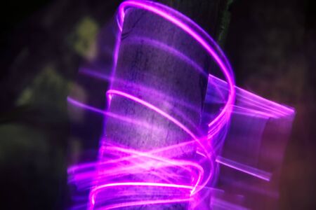 Palm tree trunk in neon light at night. Living tropical plants from Southeast Asiaの写真素材