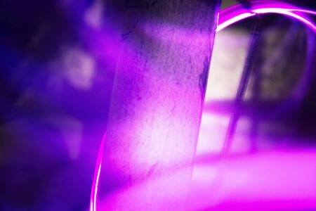 Palm tree trunk in neon light at night. Living tropical plants from Southeast Asiaの写真素材