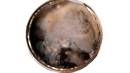 Mold on canned food magnification. texture of toxic green mold with dark green and white orange...