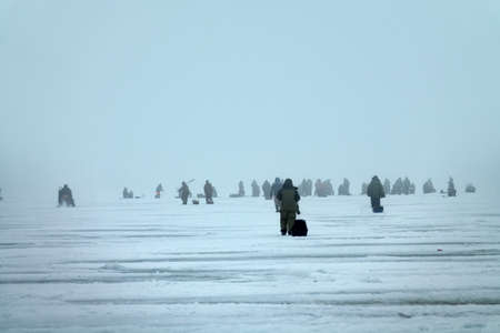 Active recreation on ice in winter. Crowd of fishermen catches large perch on fishing rod on lake Ladogaの写真素材