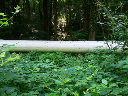 Old-style oil pipeline in forest over streem in Caucasus. Transneft company.の写真素材
