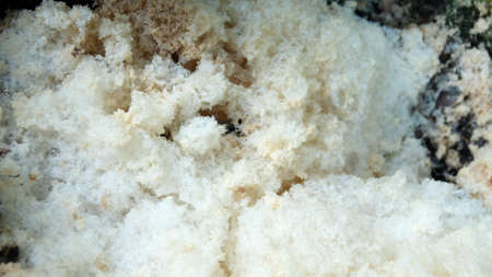 Concentrated foam in stream in nature. White porous foam close up