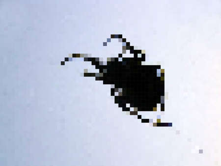 Pixilated spider on a web. Primitive computer graphics of 90sの写真素材