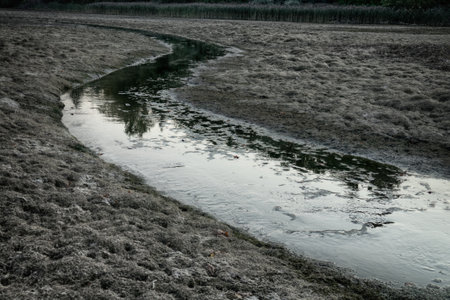 Drying up the lake and ephemeral river, oozy mud. Dry spellの写真素材