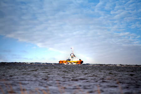 ship pilot in narrow fairways (roadstead) and stop-over Whooper swans in shallow waters of bay. For a while, industry and wild animals may coexist (as long as environment isn't poisoned). Balticの写真素材