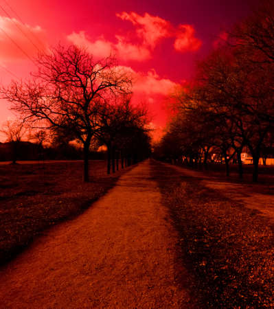 Deserted winter alley. Evening jog. Infrared photo styleの写真素材