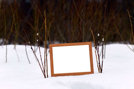 Greeting on spring and nature's great awakening, May of youth. Yew Sunday is called ice Pussy Willow Sunday in Russia. Organic wooden frame in snow surrounded by willow twigs with catkinsの写真素材